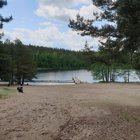 Apartament Pod Sosnami 1 Noclegi Otw Borowno Wlk Skarszewy Eksteriør bilde